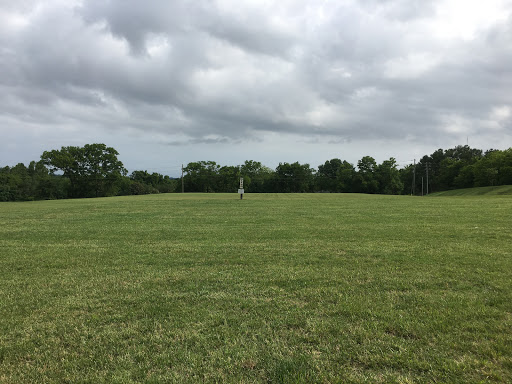 Flagpole Park - Visual
