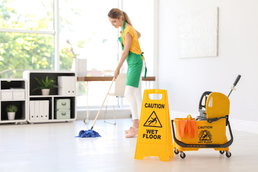Regina's Cleaning Group - Thumbnail