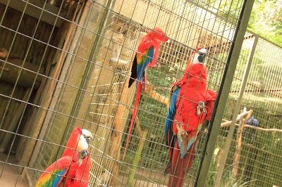 Photos of Zooparque Itatiba