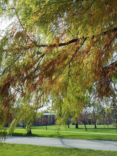 Photos of St Joseph's College