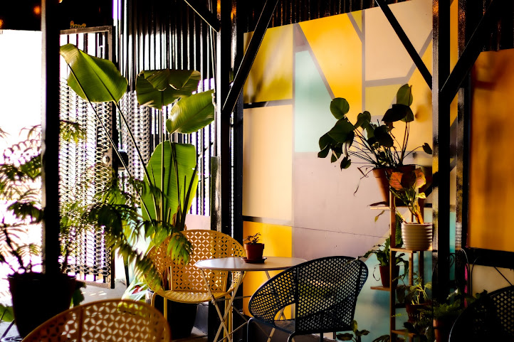 The Avondale Coffee Club by null