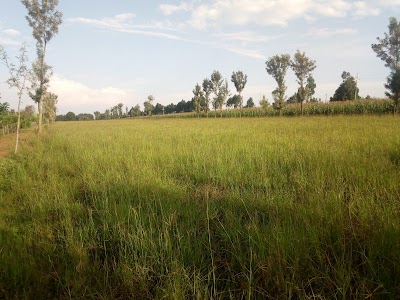 Photos of Khwesa Resort Kiminini