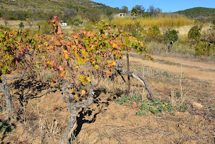 Photo n°91 de Le Colibri Bleu - Chambres d'hôtes & Table d'hôtes - Canal du midi- Formule étapes - Acceuil vélo, motard à Argeliers (Gîte)