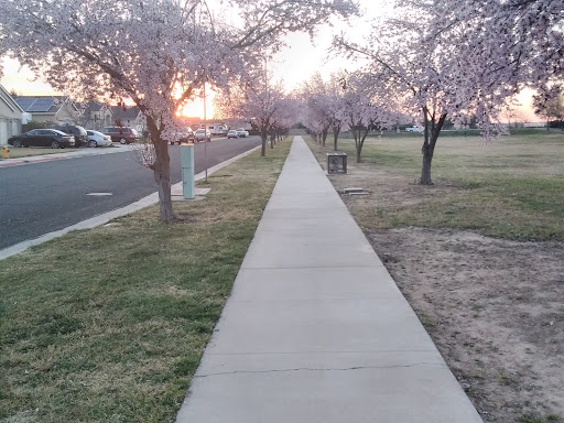 Squirrel's Run Park - Thumbnail