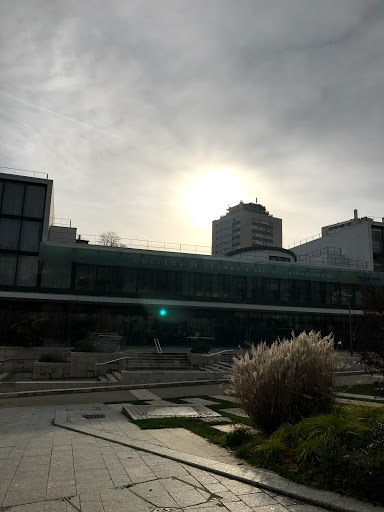 Middle School of Sèvres - Thumbnail