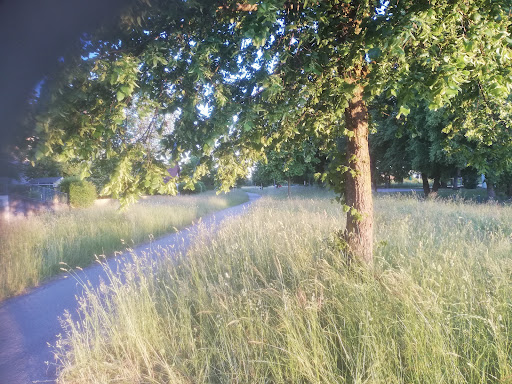 St.Magnus - Visual
