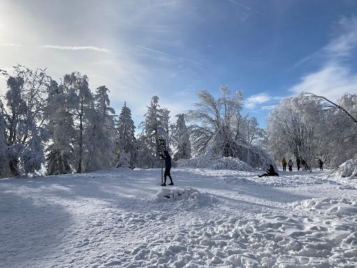 Altkönig Gipfel - Thumbnail