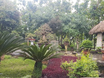 Photos of mutia vie