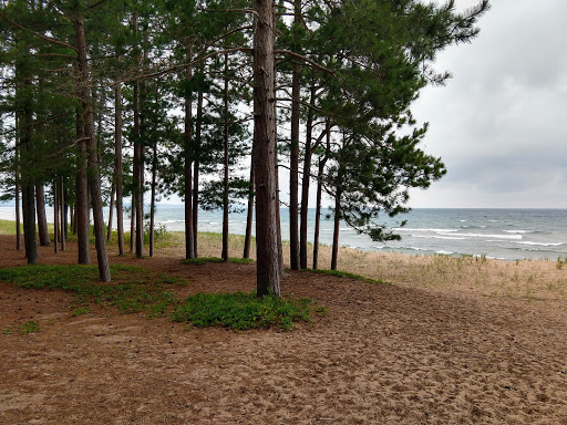 Little Presque Isle - Thumbnail