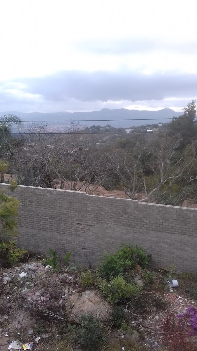 Photos of The Palms Guesthouse