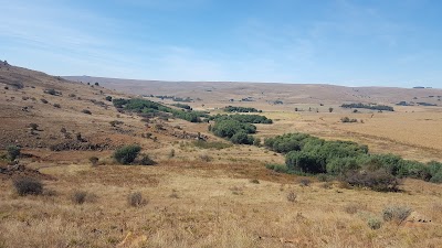 Photos of African Leaves Trout Lodge