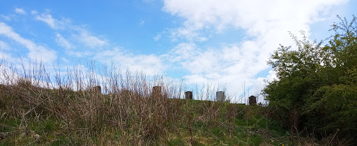 Dumbarton New Cemetery - Thumbnail