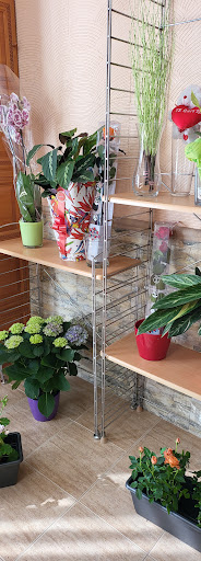 Fenthos Flor - Visual