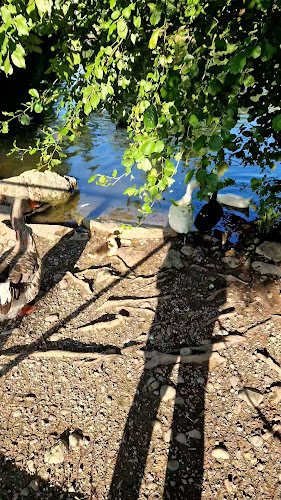Stadtweiher Bülach