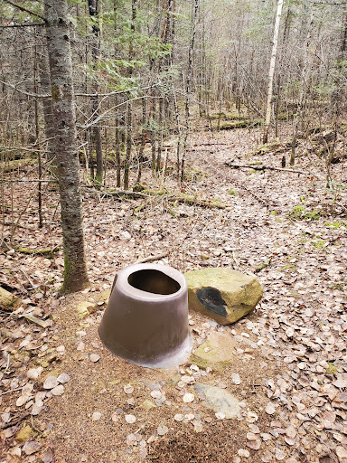 Swamper Lake Wayside Rest - Thumbnail