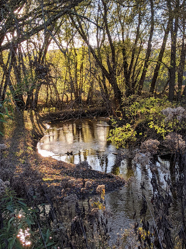 Pittsford Trail Network - Thumbnail