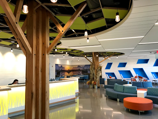 Northshore Children’s - Thumbnail