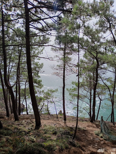 Plage du Bois du Kador - Thumbnail