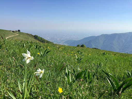 Croce, Col Fenilon - Visual