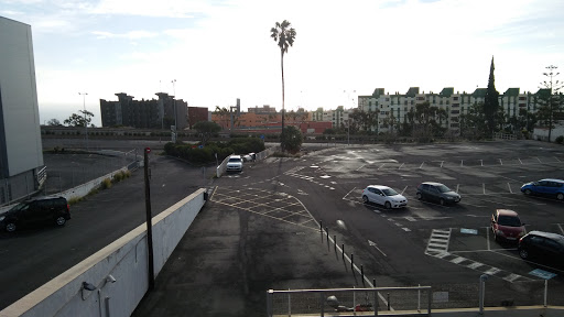El Cardonal - Thumbnail