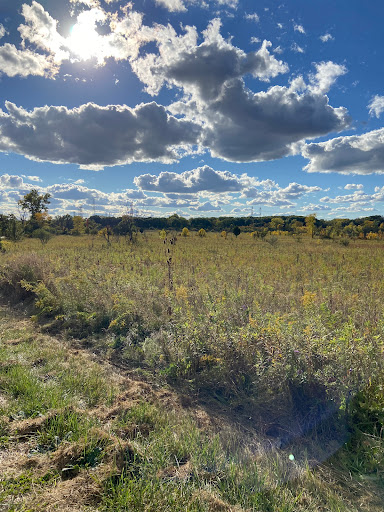 Turtlehead Lake - Visual
