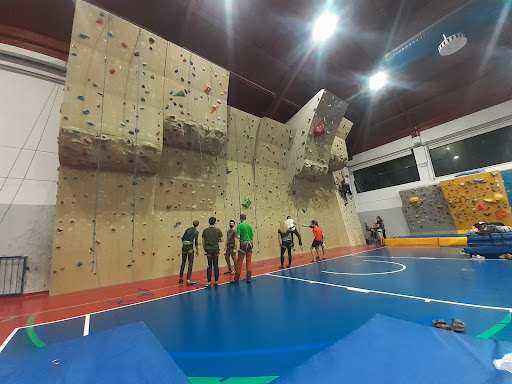 Palestra Rossini - Thumbnail