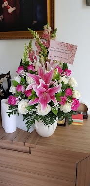 Fuchsia Florist, Author: DAVIDSON WIYAPUTRA