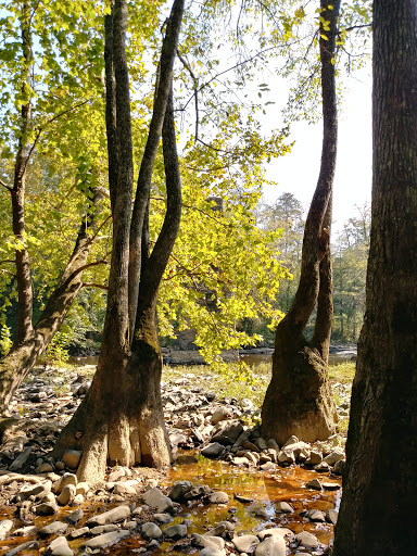 Nectar Falls - Visual
