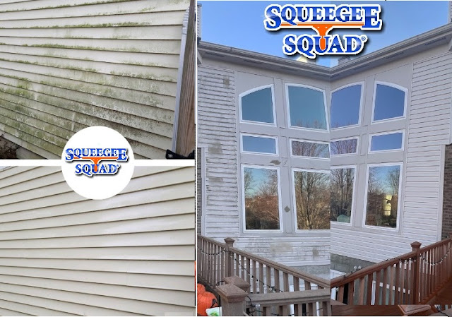 Squeegee Squad - North Austin TX