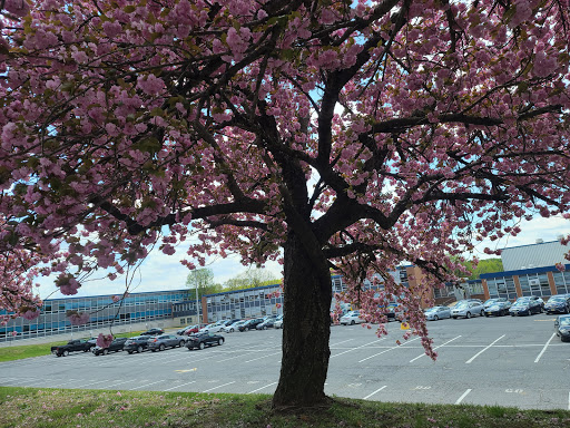 Cherry Hill West Jones Gym Parking Lot - Thumbnail
