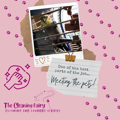The Cleaning fairy - Thumbnail