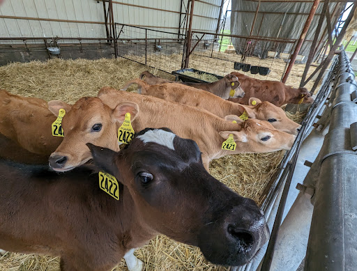 CSU, Chico University Farm - Thumbnail