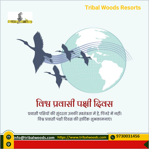 #hotelonkhatiyagate #tribalwoodskanha #besthotelinkanha #tribalwoodsresort #ResortInKanha post image