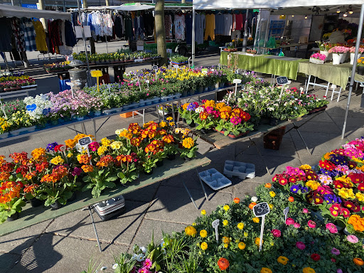 Blumenhandel - Visual