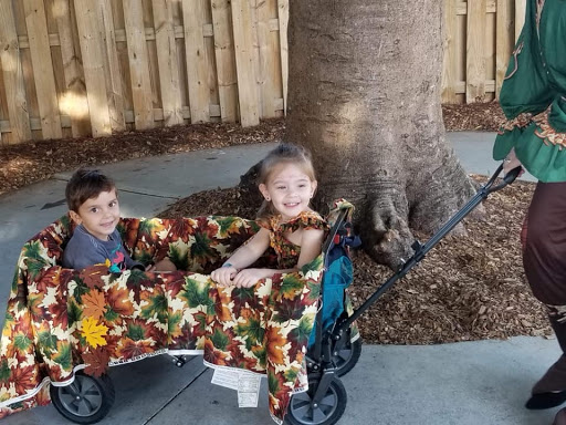 A Children's Carousel - Visual