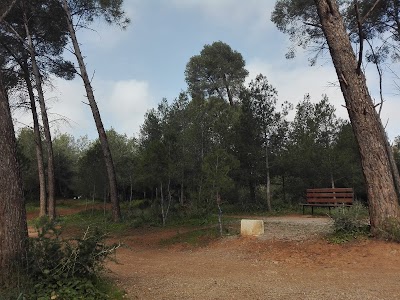 park
