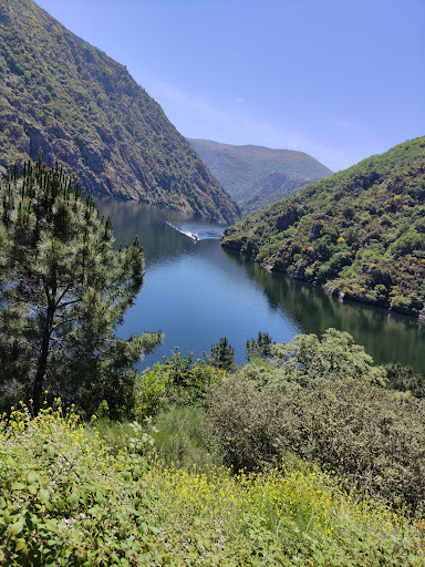 VISTAS Á RIBEIRA SACRA