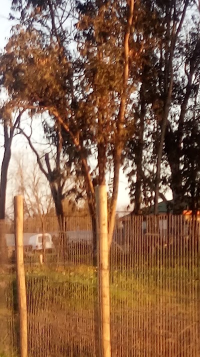Photos of Los Pensamientos, Chorombo Bajo Jard&iacute;n Infantil