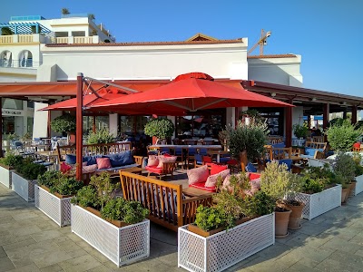 Photos of Limassol Marina