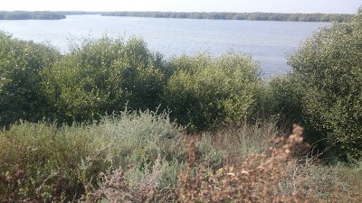 Photos of Al Zorah Natural Reserve