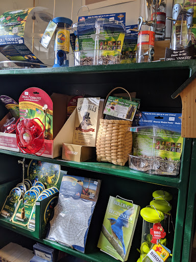 World Store - Visual