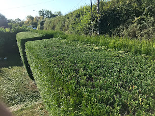 Photo n°5 de Agnetz jardin services à Agnetz (Jardinier)
