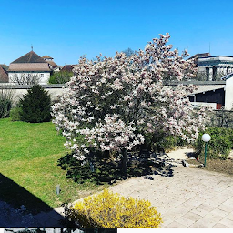 Photo n°54 de Arc en Sel Maison et table d'hôtes à Arc-et-Senans (Chambre d'hôtes)