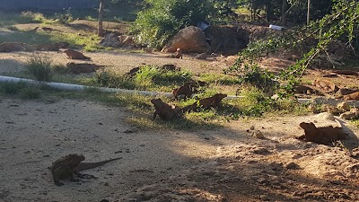 Photos of Cave of Wonders