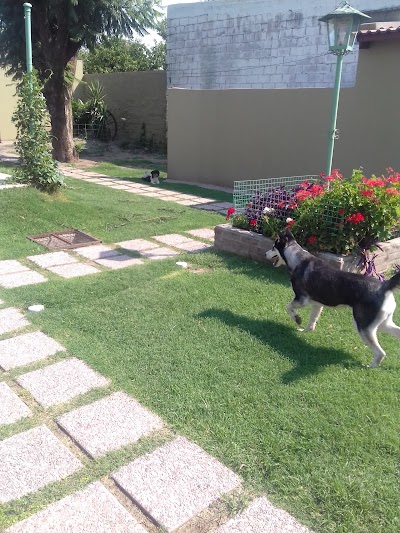 Photos of Veterinaria Cachorros