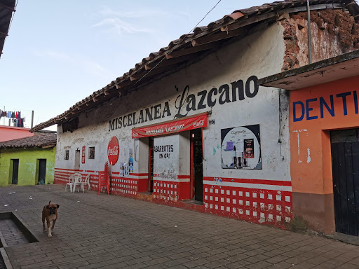 Miscelánea Lazcano - Visual