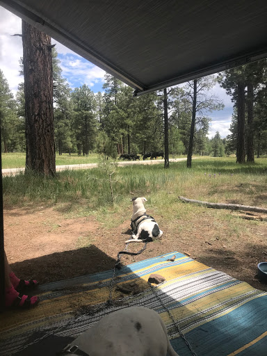 Turkey Springs Dispersed Camping - Thumbnail