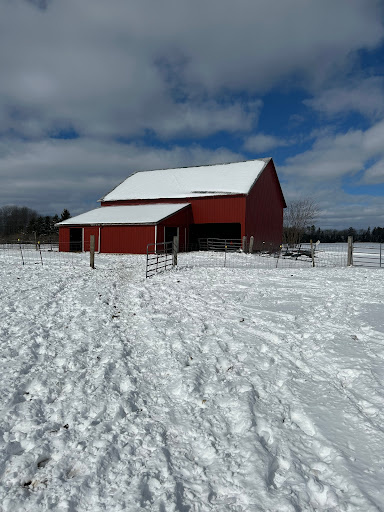 Cedar Hollow Builders Gallery - United States