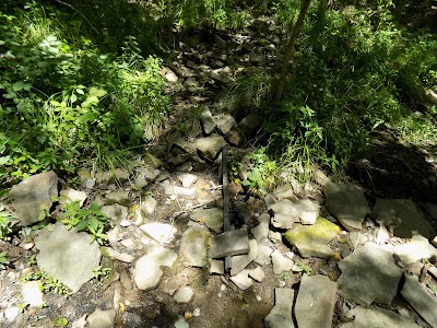 Rice Field Shelter/Appalachian Trail