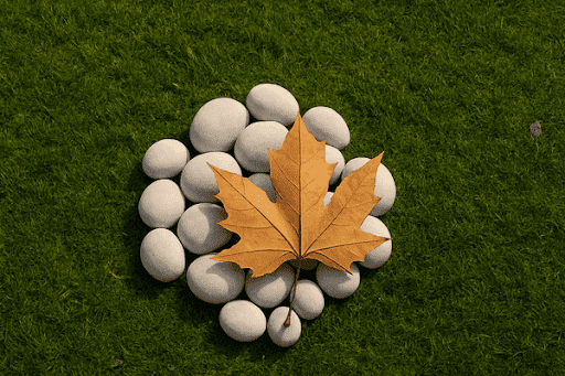 ✨ Super White Pebbles for Landscape & Garden Décor ✨ post image
